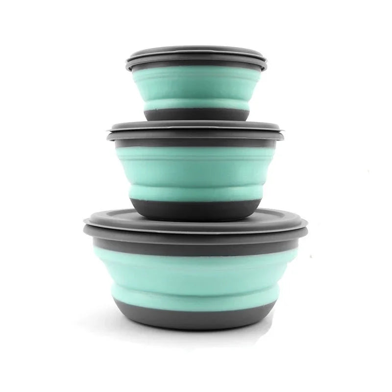 Collapsible Silicone Bowl with Lid